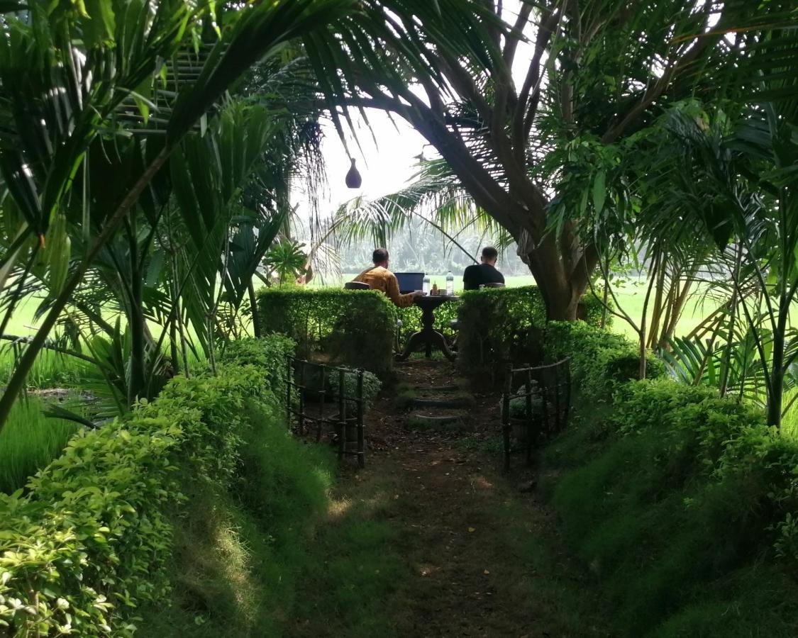 Viveka Inn Guest And Yala Safari 티사마하라마 외부 사진