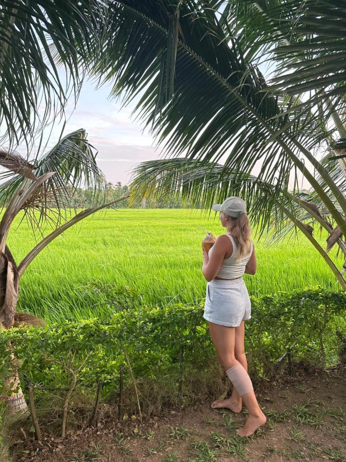 Viveka Inn Guest And Yala Safari 티사마하라마 외부 사진