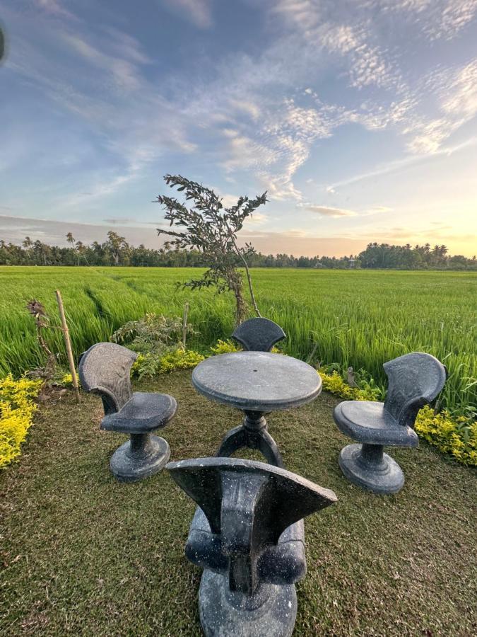 Viveka Inn Guest And Yala Safari 티사마하라마 외부 사진