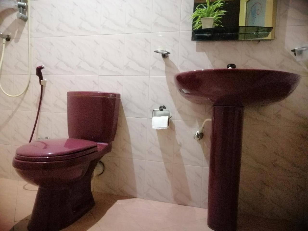 Viveka Inn Guest And Yala Safari 티사마하라마 외부 사진