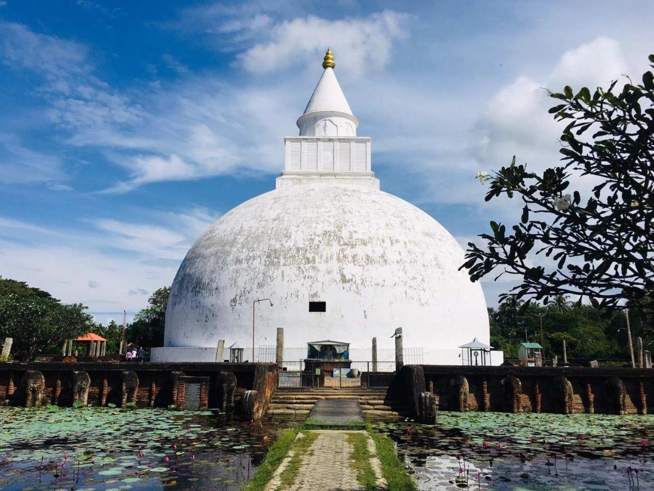 Viveka Inn Guest And Yala Safari 티사마하라마 외부 사진