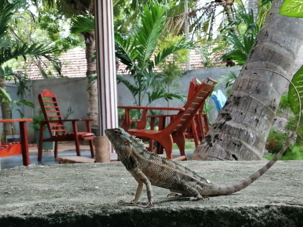 Viveka Inn Guest And Yala Safari 티사마하라마 외부 사진